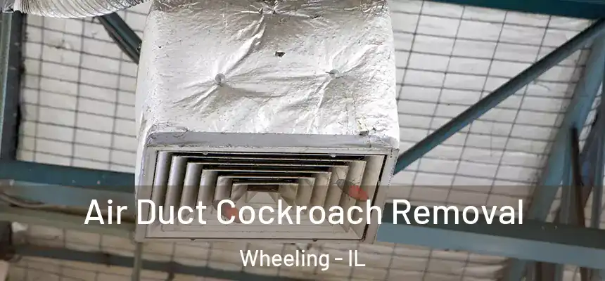  Air Duct Cockroach Removal Wheeling - IL