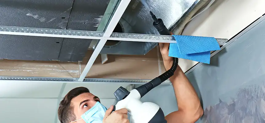 Our Air Duct Rodent Removal Services in Wheeling, IL