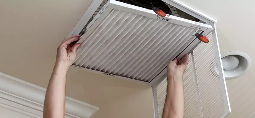 Our Insect Removal from Air Ducts Services in Wheeling, IL