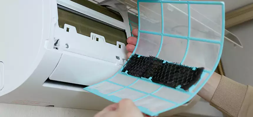 Gentle Ductwork Odor-Control Pet Dander Duct Cleaning in Wheeling, IL