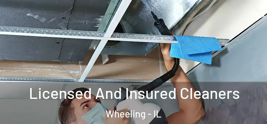  Licensed And Insured Cleaners Wheeling - IL