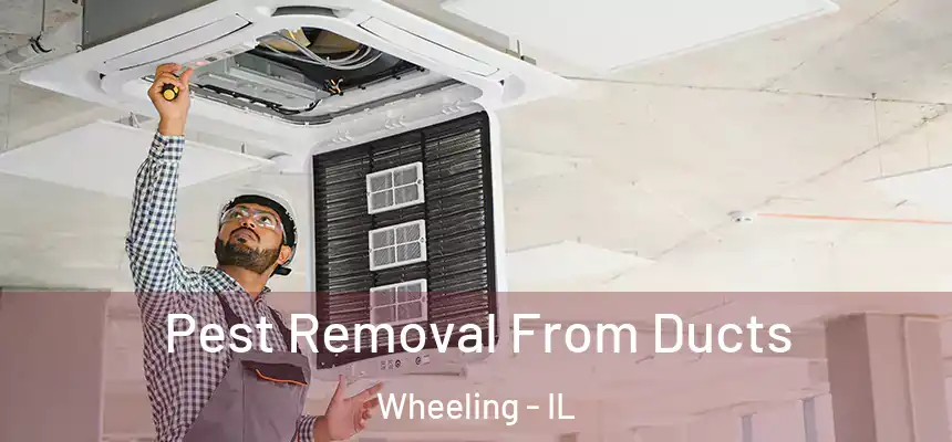 Pest Removal From Ducts Wheeling - IL