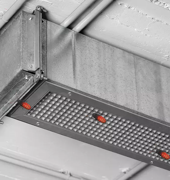 About Air Duct Cockroach Removal in Wheeling, IL