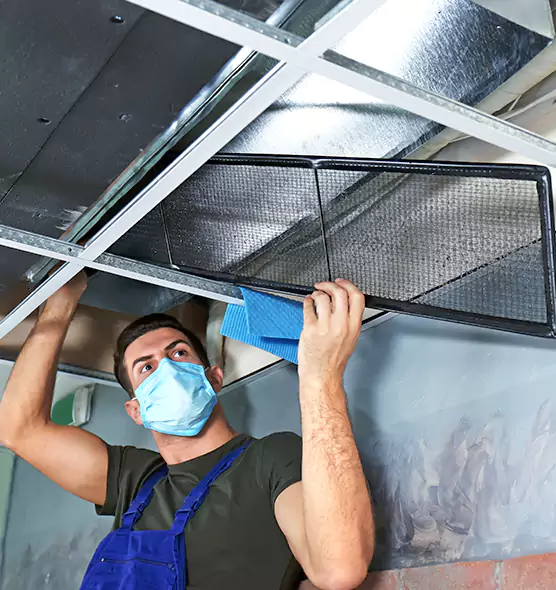 Professional Air Duct Pollen Cleaning in Wheeling, IL