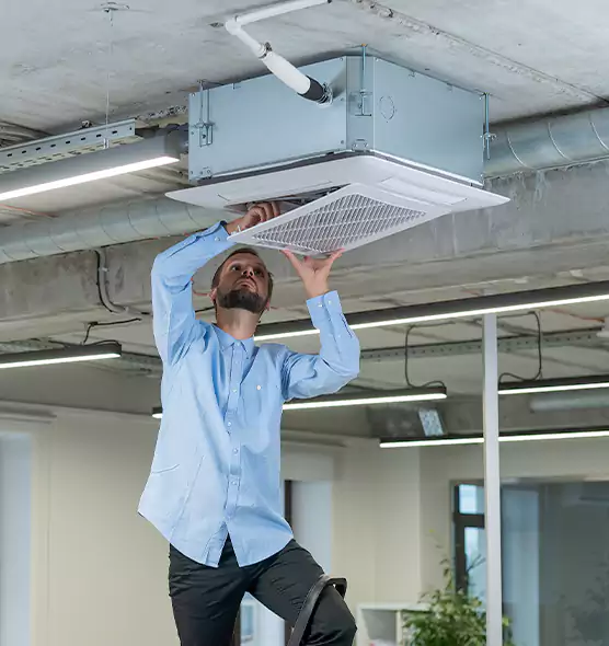 Advanced Rodent Droppings In Vents in Wheeling, IL